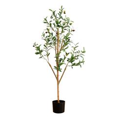 4ft. Artificial Olive Tree with Natural Trunk