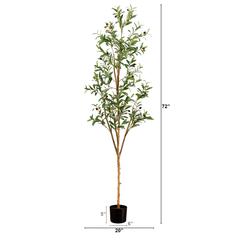 6ft. Artificial Olive Tree with Natural Trunk