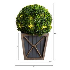Boxwood Ball Topiary with LED Lights in Decorative Planter (Indoor/Outdoor)