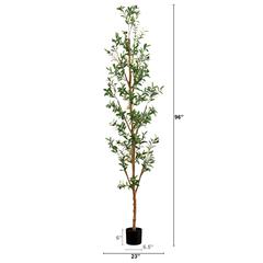 8ft. Artificial Olive Tree with Natural Trunk