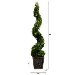 Boxwood Spiral Topiary Tree with LED Lights in Decorative Planter