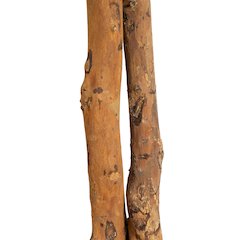 6ft. Willow Artificial Tree (Real Touch)