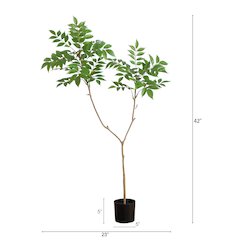 3.5ft. Artificial Sumac Tree