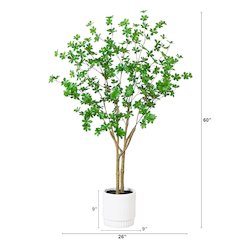 5ft. Artificial Enkianthus Tree in White Decorative Planter