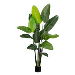 6ft. UV Resistant Artificial Travelers Palm Tree (Indoor/Outdoor)