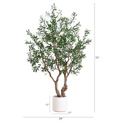 6ft. Artificial Grand Olive Tree in White Decorative Planter