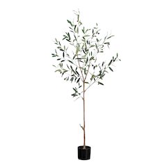5ft. Artificial Slim Minimalist Olive Tree