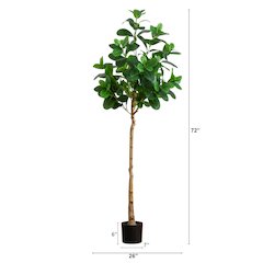6ft. Artificial Audrey Ficus Tree