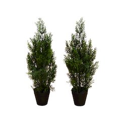 2ft. Artificial Cedar Pine Tree UV Resistant (Indoor/Outdoor) - Set of 2