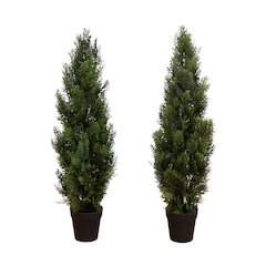 3ft. Artificial Cedar Pine Tree UV Resistant (Indoor/Outdoor) - Set of 2