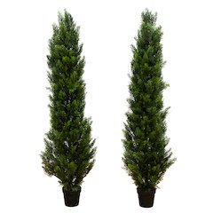 5ft. Artificial Topiary Cedar Tree UV Resistant (Indoor/Outdoor) - Set of 2