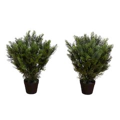 2ft. Artificial Cedar Tree UV Resistant (Indoor/Outdoor) - Set of 2