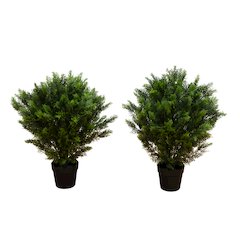 3ft. Artificial Cedar Tree UV Resistant (Indoor/Outdoor) - Set of 2