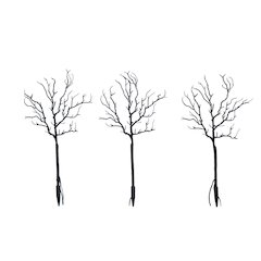 14in. Pre-Lit Artificial Halloween Black Twig Branches - Set of 3