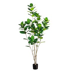 7ft. Artificial Minimalist Audrey Ficus Tree