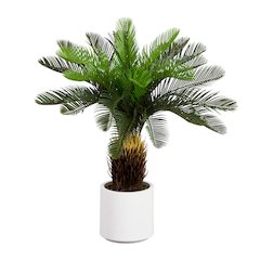 30in. UV Resistant Artificial Cycas Palm Tree in White Decorative Planter