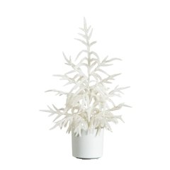 2ft. Artificial Real Touch White Norfolk Island Pine Christmas Tree
