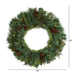 20in. Mixed Pine and Pinecone Artificial Christmas Wreath with 35 Clear LED Lights