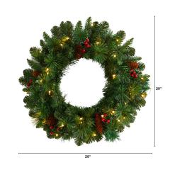 20in. Frosted Pine Artificial Christmas Wreath with Pinecones, Berries and 35 Warm White LED Lights
