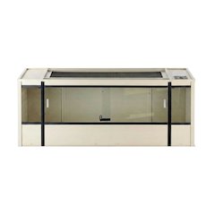 Painted Reptile Lounge with Traditional Style and Rectangular Design