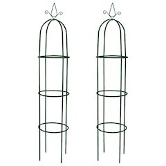 Garden Arch Dark green Iron Standard Decorative Design