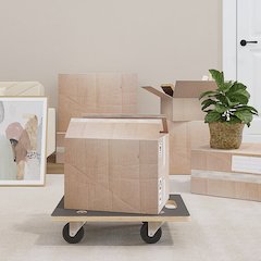 Transport Trolleys 2 pcs Rectangular 19.7"x13.8"x4.5" 551.2 lb