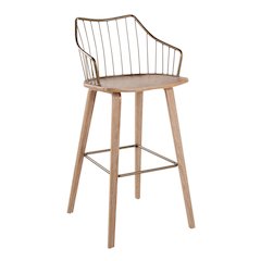 Winston 30" Fixed-Height Barstool