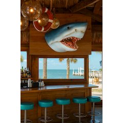 Great White Shark Wall Bust