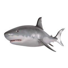 Wall Mounted Great White Shark 6ft