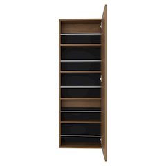 Baltimore Wall Mounted Shoe Rack, Mirror, Single Door, Ten Shoes Capacity