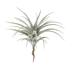 Giant Artificial Airplant
