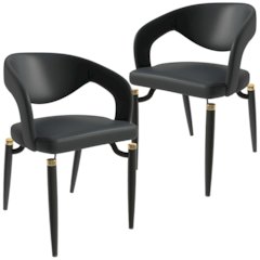 Entice Collection Modern Dining Chair Set of 2 in Charcoal Black