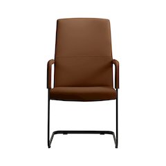Evander Office Guest Chair in Dark Brown Leather