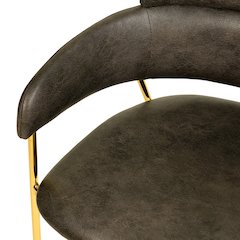 Axis Collection Modern Gold Dining Chair in Charcoal
