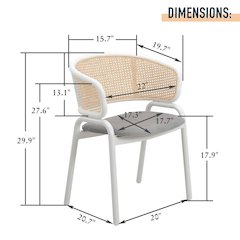 Ervilla Modern Dining Chair Set of 2