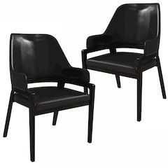 Ethora Collection Modern Wooden Dining Chair in Black Set of 2