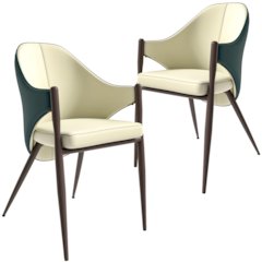Sante Collection Modern Dining Chair Set of 4 in Cream/Green