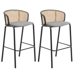 Seat and Black Powder Coated Steel Frame, Set of 2