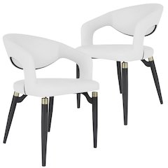 Entice Collection Modern Dining Chair Set of 2 in White