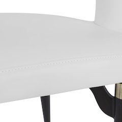 Entice Collection Modern Dining Chair in White