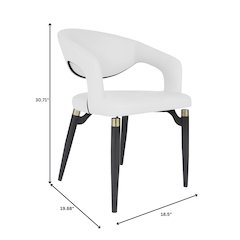 Entice Collection Modern Dining Chair Set of 2 in White