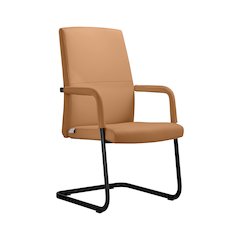 Evander Office Guest Chair in Acorn Brown Leather