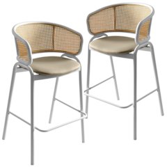 Ervilla Wicker Bar Stool Set of 2