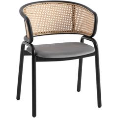 Dining Chair With Stainless Steel Legs Velvet Seat and Wicker Back