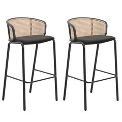 Seat and Black Powder Coated Steel Frame, Set of 2
