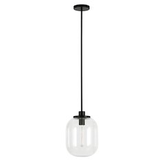 9" Pendant Light Fixture with Glass Globe Shade and 8' Adjustable Cord, Black