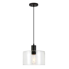 10" Pendant Light Fixture with Clear Glass Shade and 8' Adjustable Cord, Black