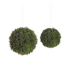 Seedum Orbs (Set of 8) 4"H Plastic