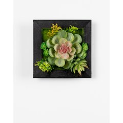 Hanging Succulent Wall Decor (Set of 6) Plastic