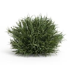 Half Orb (Set of 12) 6.5"D Plastic